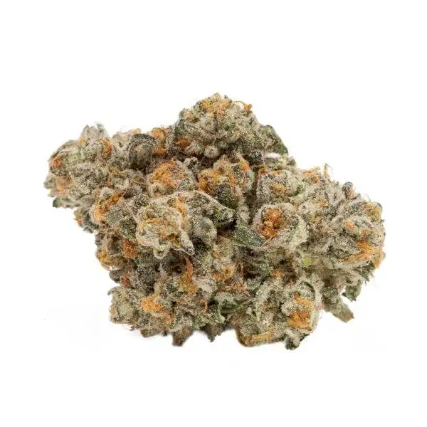 Georgia Pie - Hybrid