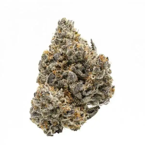 Rainbow Runtz - Indica