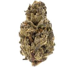 Gelato #41