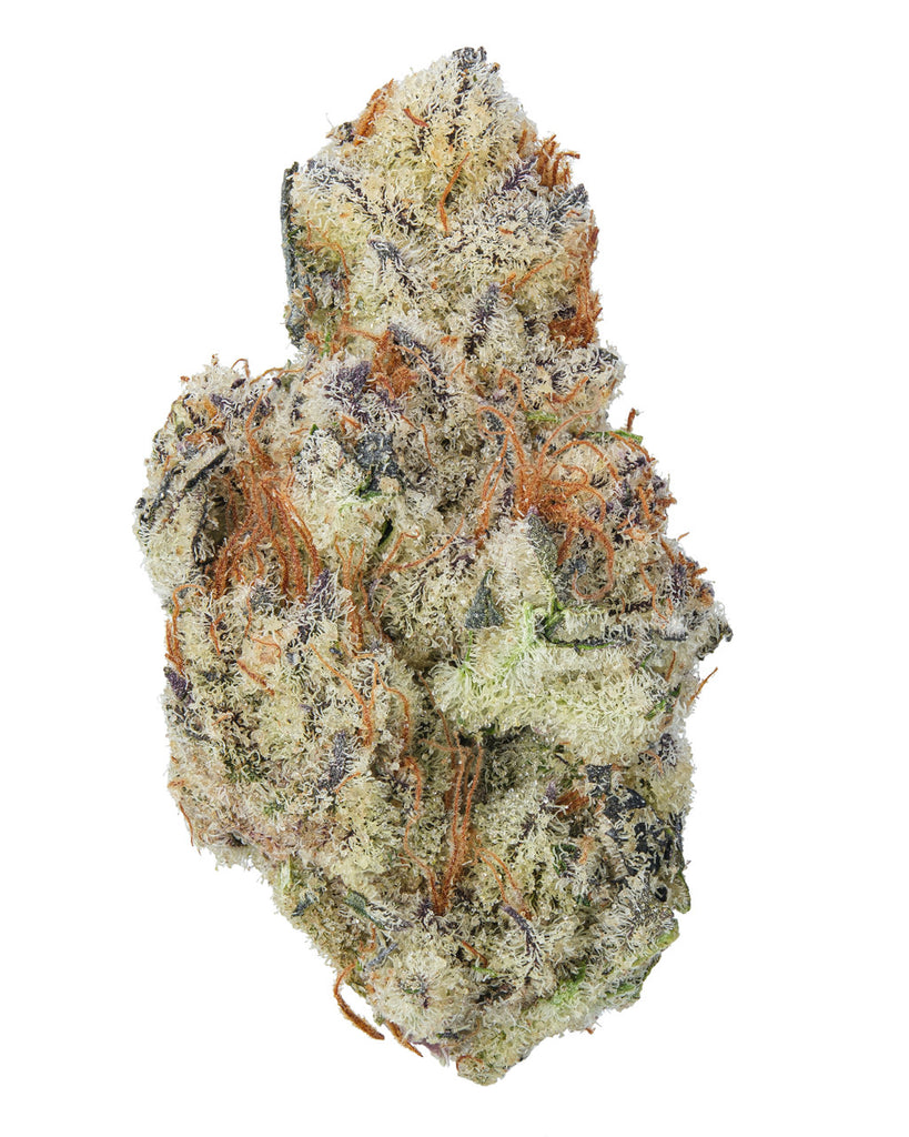 Lambo_OG_-_1__99087_1024x1024.
