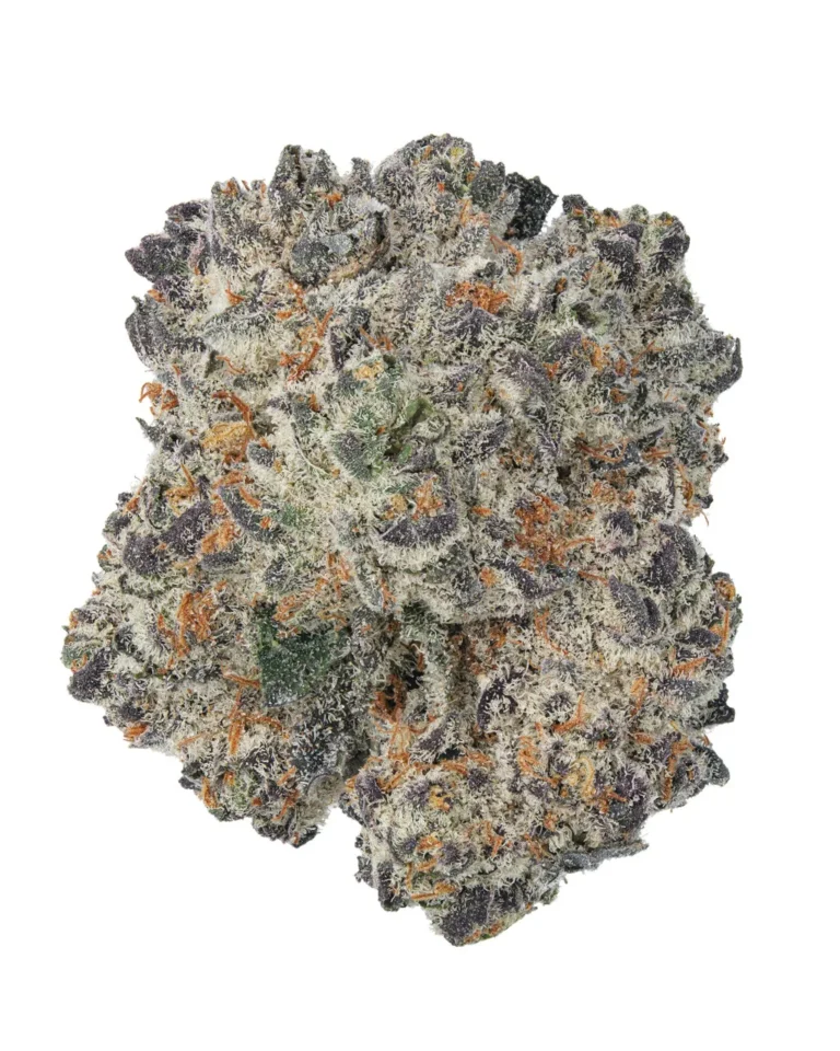 Grandaddy_Purple_Living_Soil___1