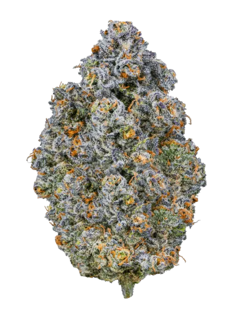 Z-Cube_weed_strain_1_600x