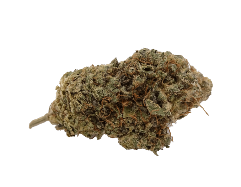 DAIRY-PAYTON-SATIVA-HYBRID-OZ-SPECIAL-1-scaled-1